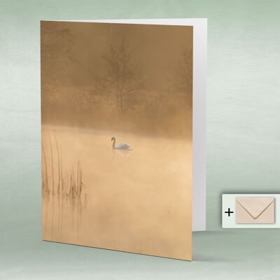 Greeting card, double card 8060