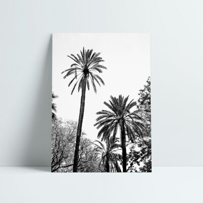 30x40 CM POSTER - BLACK AND WHITE PALMS