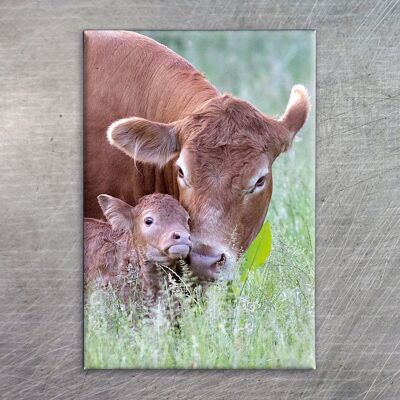 Photo magnets, photo magnet 7039