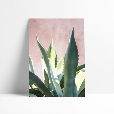 30x40 CM POSTER - PLANTS ON PINK