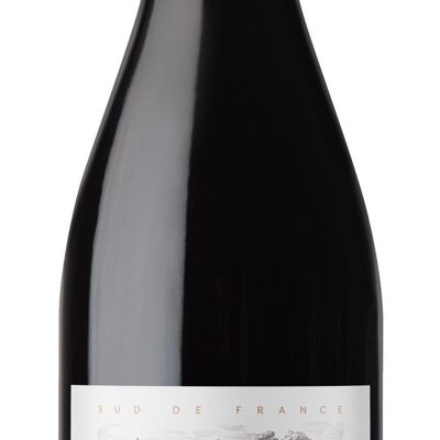 Pinot Noir from Pennautier 2023 - IGP Pays d'Oc Vin