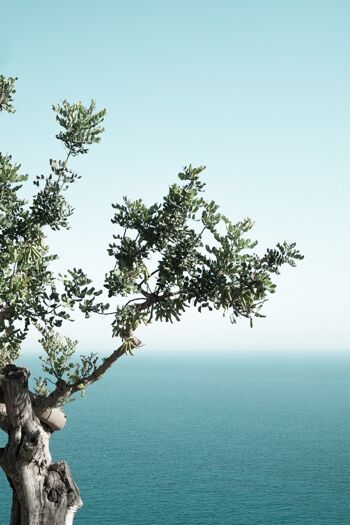 AFFICHE 30x40 CM - SEASIDE OAK 3