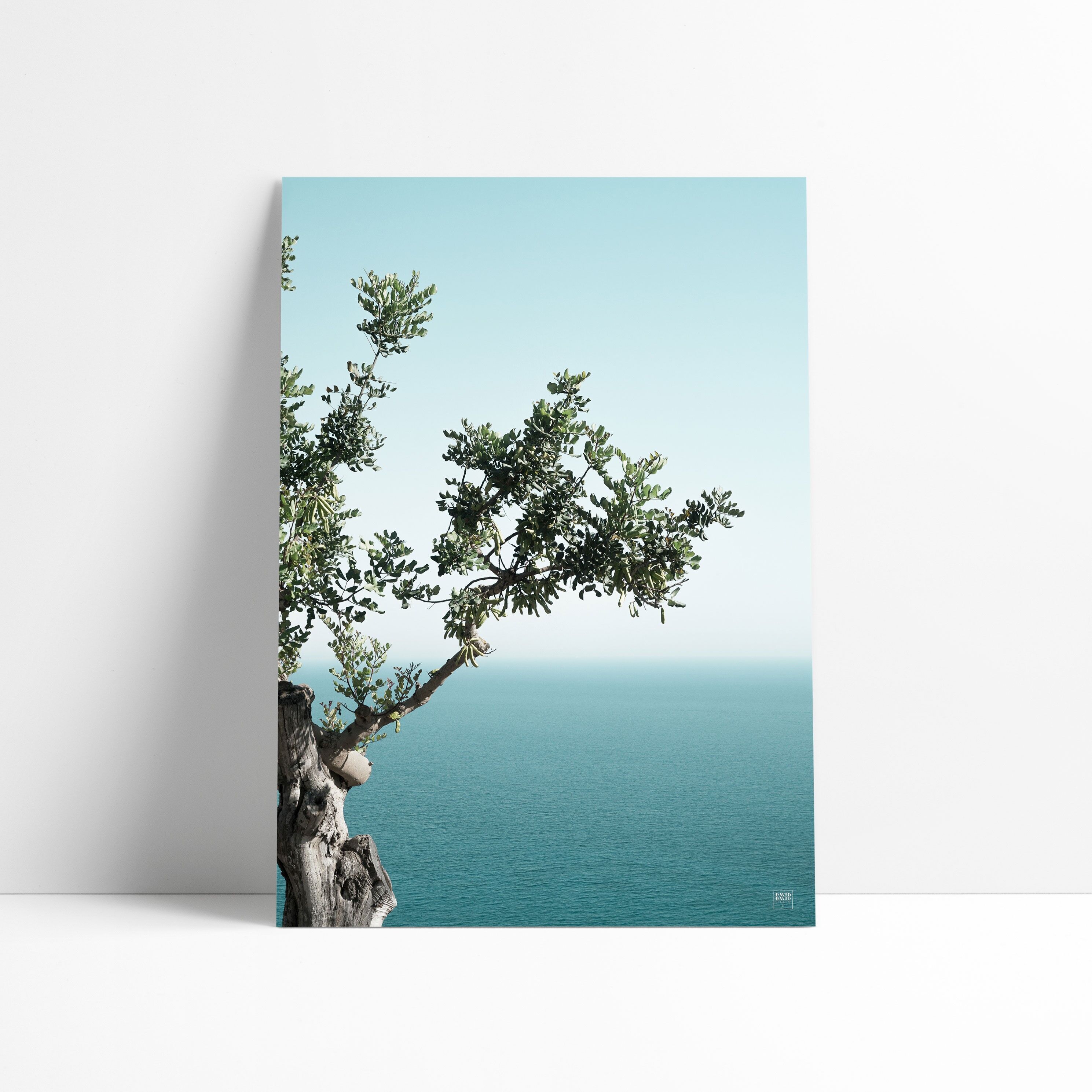 POSTER 30x40 CM - ROVERE MARE