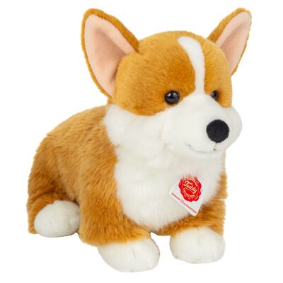 Corgi 30 cm - peluche - peluche