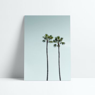 AFFICHE 30x40 CM - LOS ANGELES PALM TREES