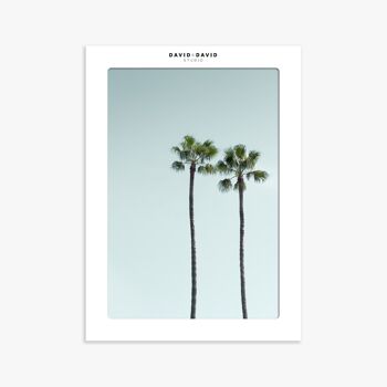 AFFICHE 30x40 CM - LOS ANGELES PALM TREES 2