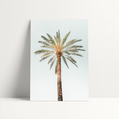 30x40 CM POSTER - SOLITARY PALM