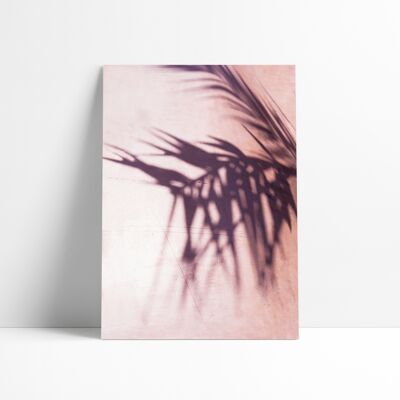 30x40 CM POSTER - PALM LEAVES SHADOW