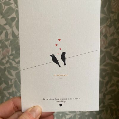 POSTAL - Los Gorriones hablan de amor
