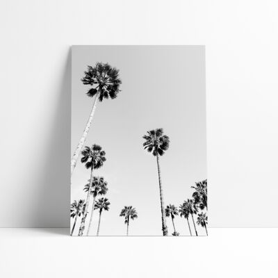 30x40 CM POSTER - MOROCCAN PALM TREES