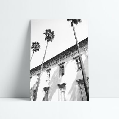 AFFICHE 30x40 CM - ARCHITECTURAL PALM TREES