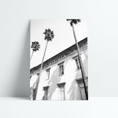 30x40 CM POSTER - ARCHITECTURAL PALM TREES