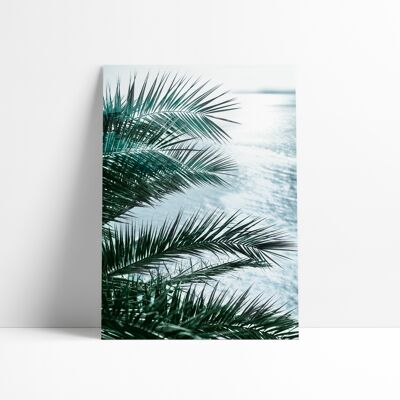 AFFICHE 30x40 CM -  EASIDE PALMS