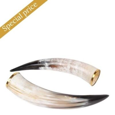 Deco horn 30 cm