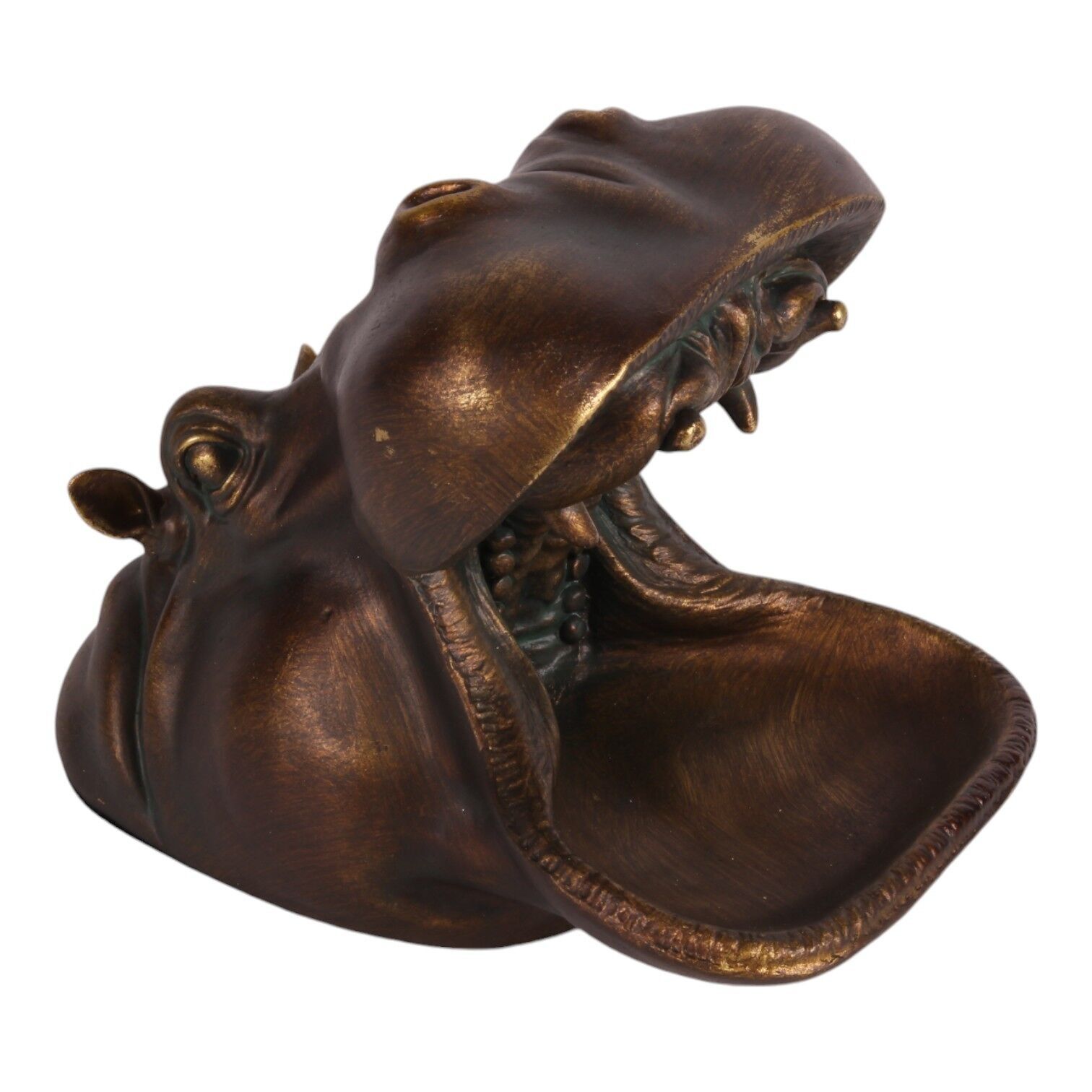 Resina de hipopótamo 25. 5 cm