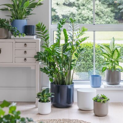 Jardinera Lisboa (azul pálido)