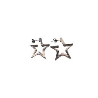 BOUCLES D'OREILLES POLARIS