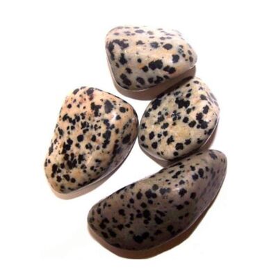 L Tumble Stones - Dalmatian