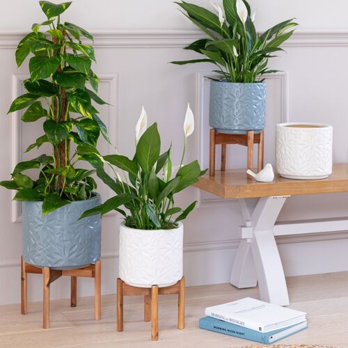 Aspen planter ( 2 sizes & 4 colours available)