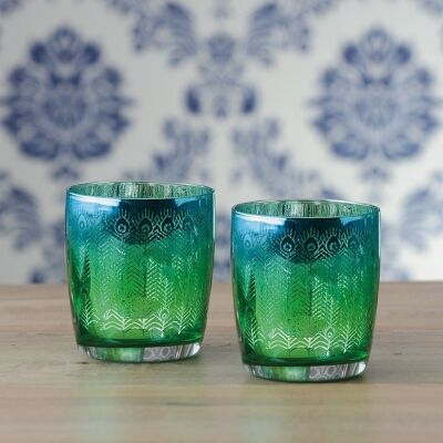 Set of 2 Peacock DOF Tumblers