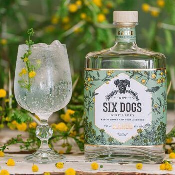 Six Dogs Karoo Gin 3