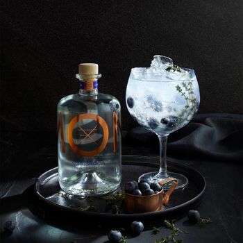 Monks Medella Gin 2