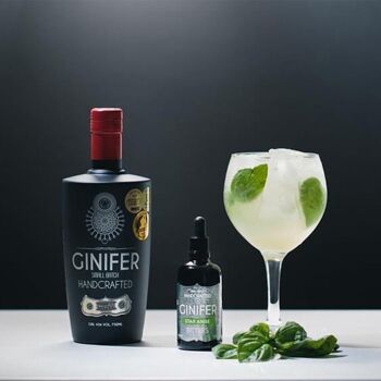Ginifer Gin Piment 2