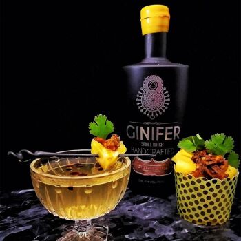 Ginifer Gin Ananas 2