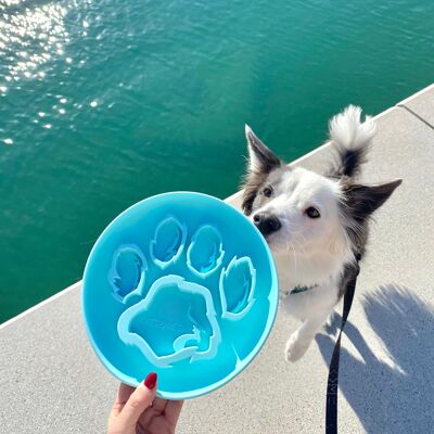 SLOW FEEDER - Gamelle pour chien à alimentation lente bleu océan - Tail et Tropic