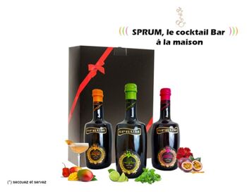 Cocktail pétillant Hibiscus Passion - Appolinaire SPRUM  500ml 3