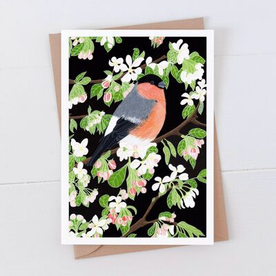 Bullfinch Art Card