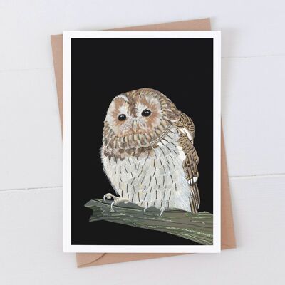 Tawny Owl Art Card