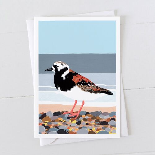 Turnstone Art Card