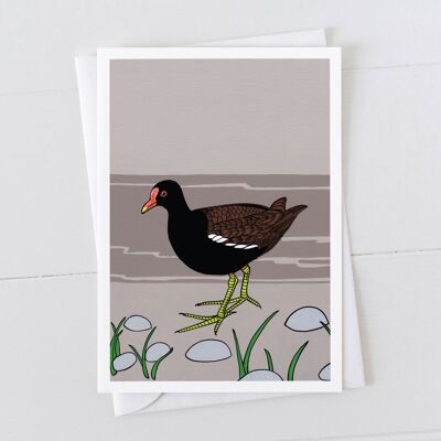 Carta d'arte gallinella d'acqua