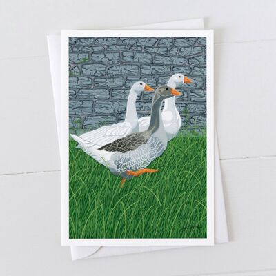 Geese Art Card