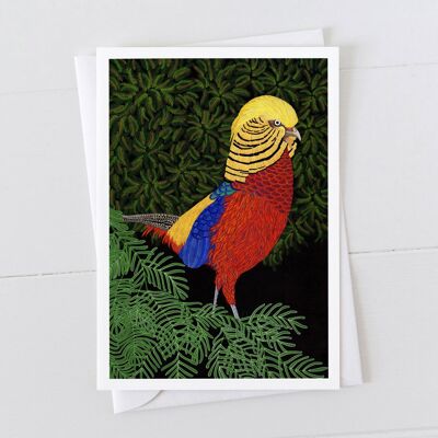 Golden Pheasant Art Card