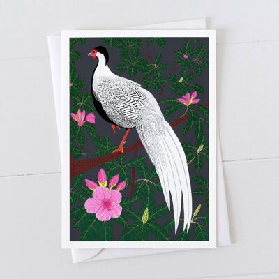 Silver Pheasant Art Card