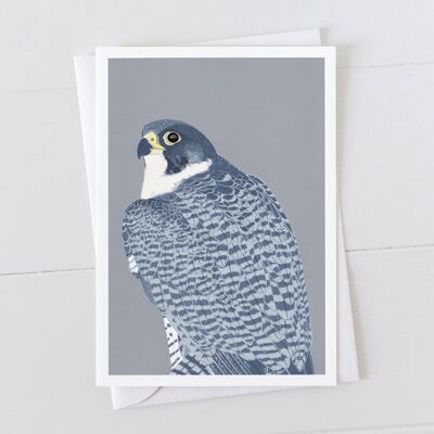 Peregrine Falcon Art Card