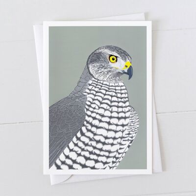 Goshawk Art Card