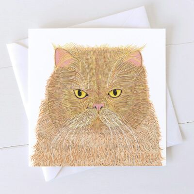 Carta artistica del gatto con marmellata