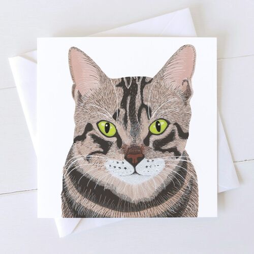 Tabby Cat Art Card