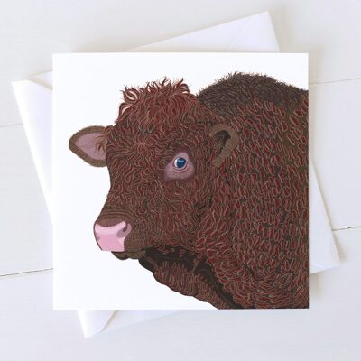 Carta Shapinsay Bull Art