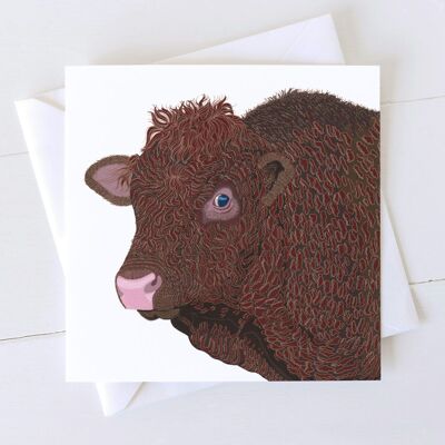 Shapinsay Bull Art Card