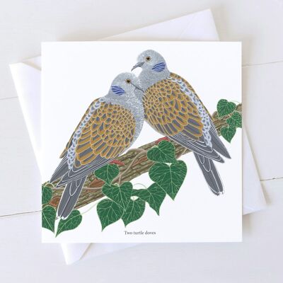 Two Turtle Doves Christmas Cards