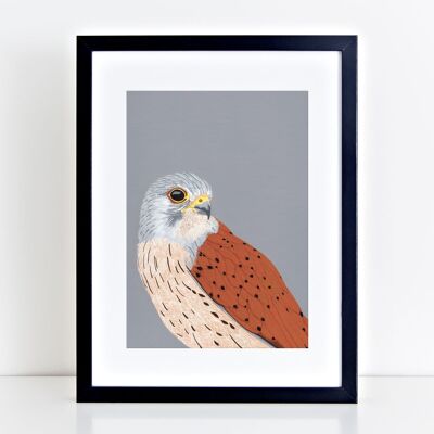 Kestrel Art Print