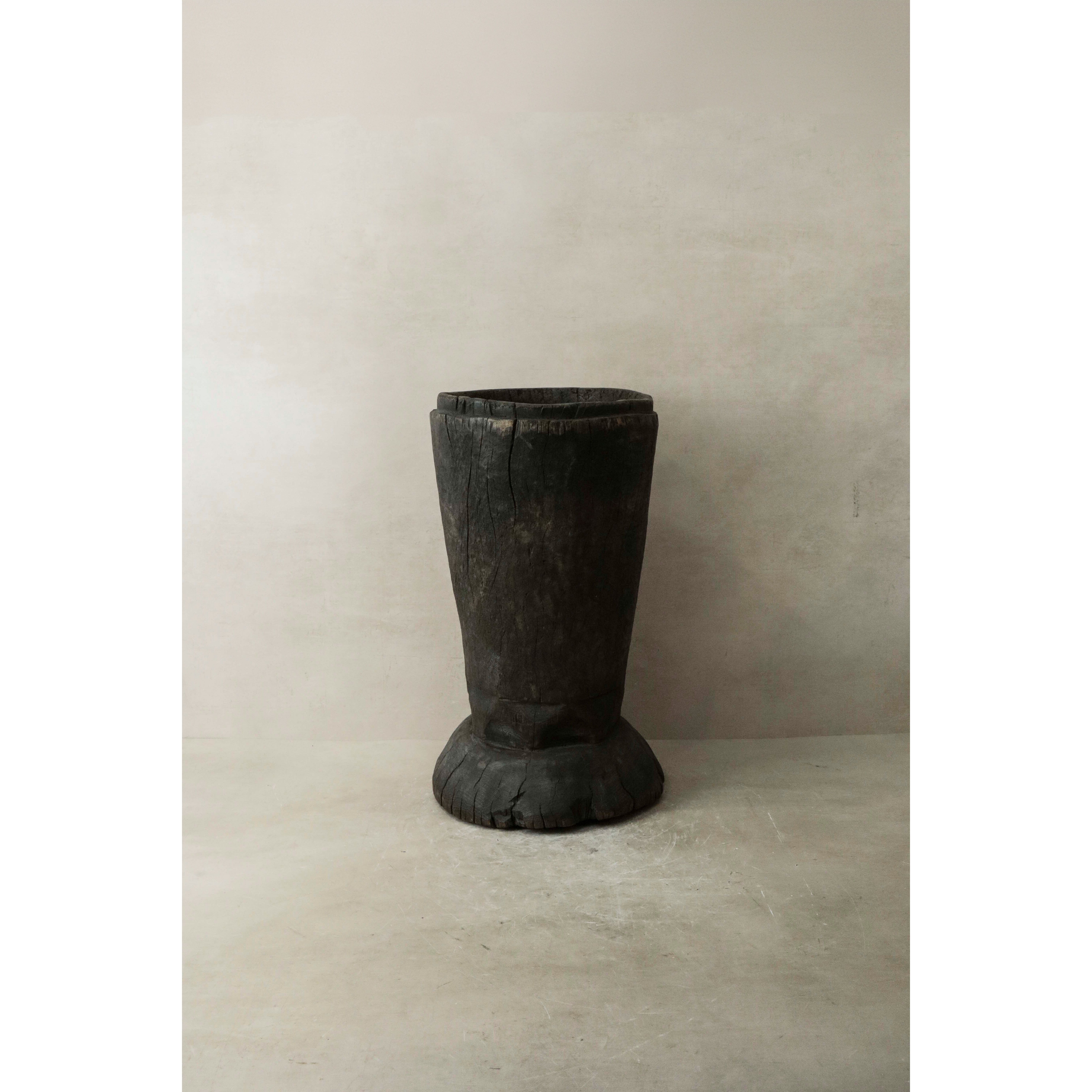 Pisoteador de granos africano - 155.8