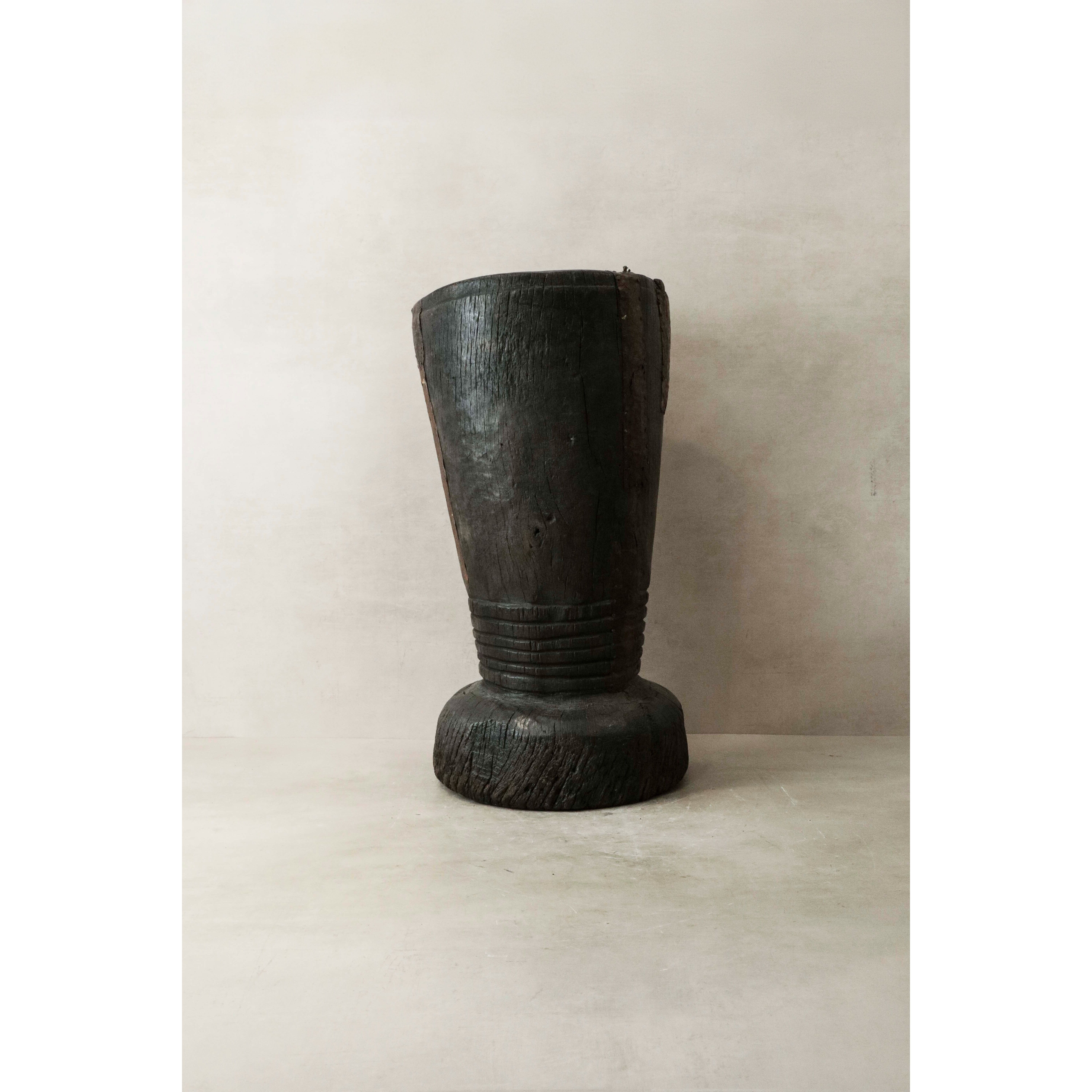 Calpestatore di grano africano - 155.5