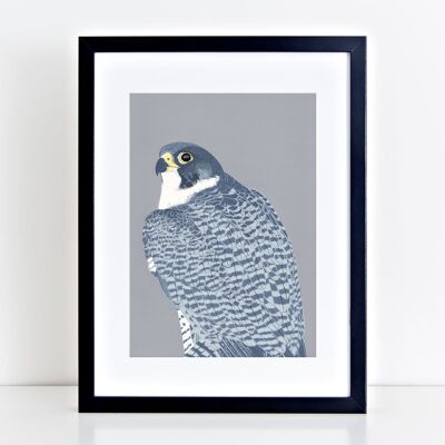 Peregrine Falcon Art Print