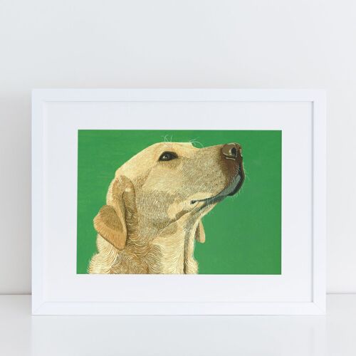 Golden Labrador Art Print