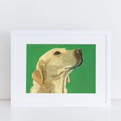 Goldener Labrador-Kunstdruck